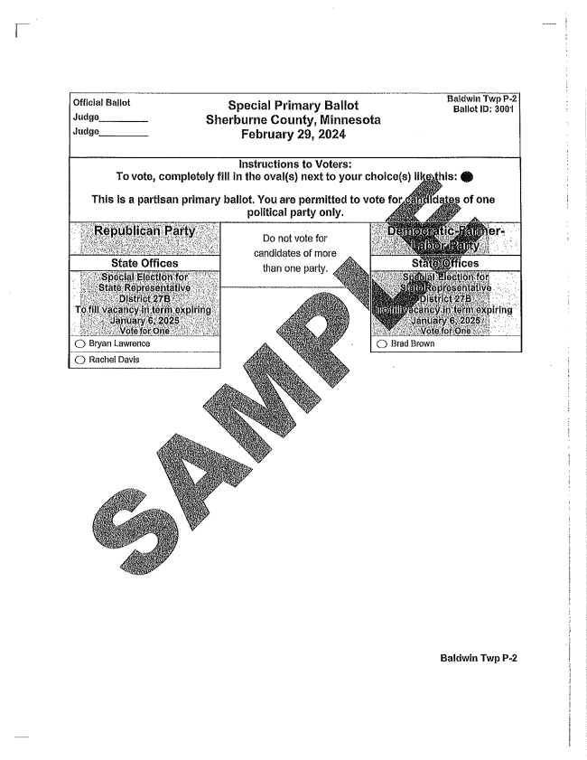 Mn Presidential Primary 2024 Ballot Rodi Joelynn